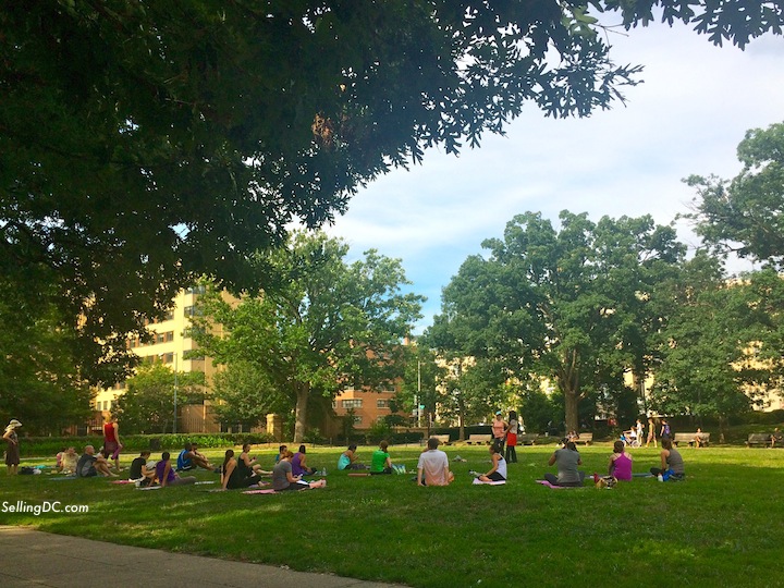 DC yoga in the park